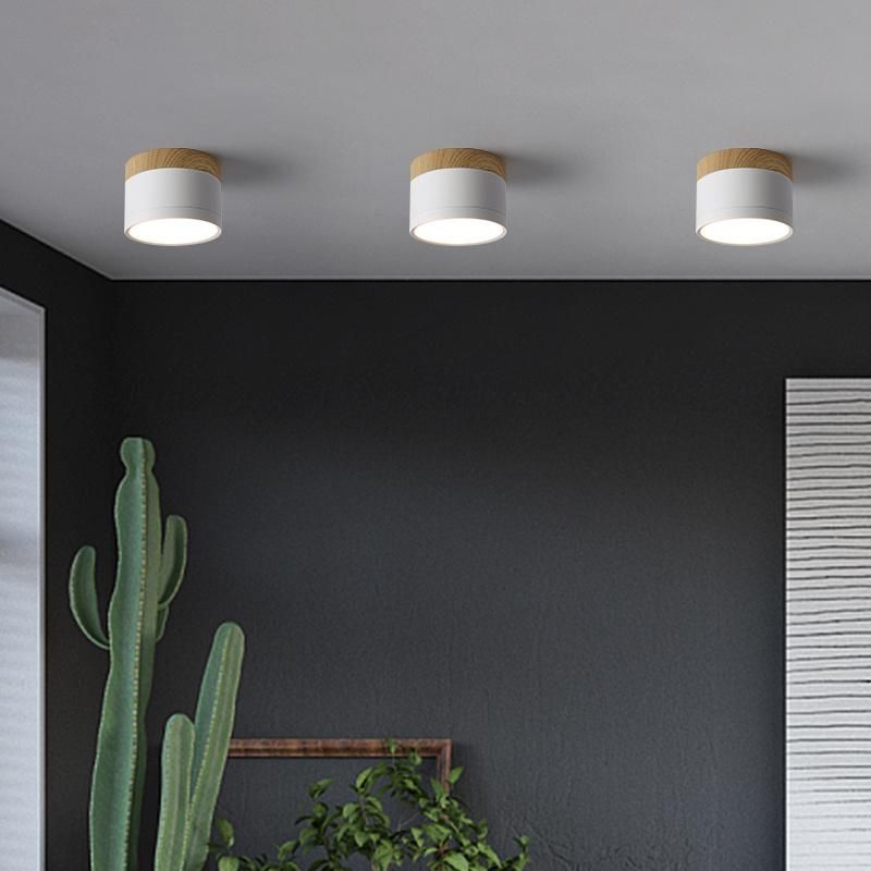 Mini Small Size Concise Style Ceiling Lamp Pendant Lamp Restaurant Lamp