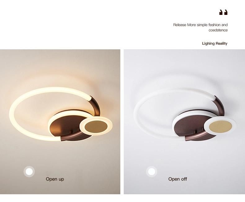 European New Design Decorative Lamp Modern Downlights Luxury Ceiling Lights