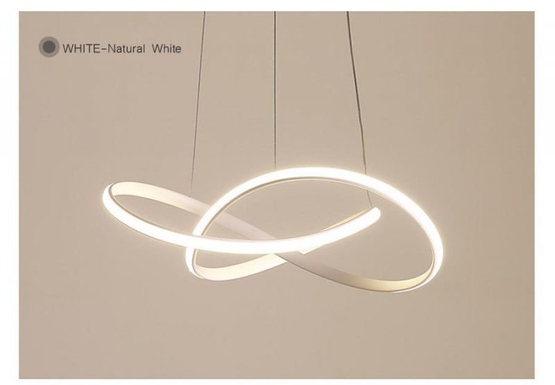 Nordic Style Art Simple Pendant Light Bedroom Hotel LED Unna Artistic Circular Wave Pendant Light (WH-AP-313)