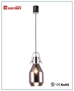 Fassionable Modern Decorative Project Pendant Light