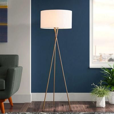 Simple and Modern Floor Lamp Living Room Sofa Study Creative Light