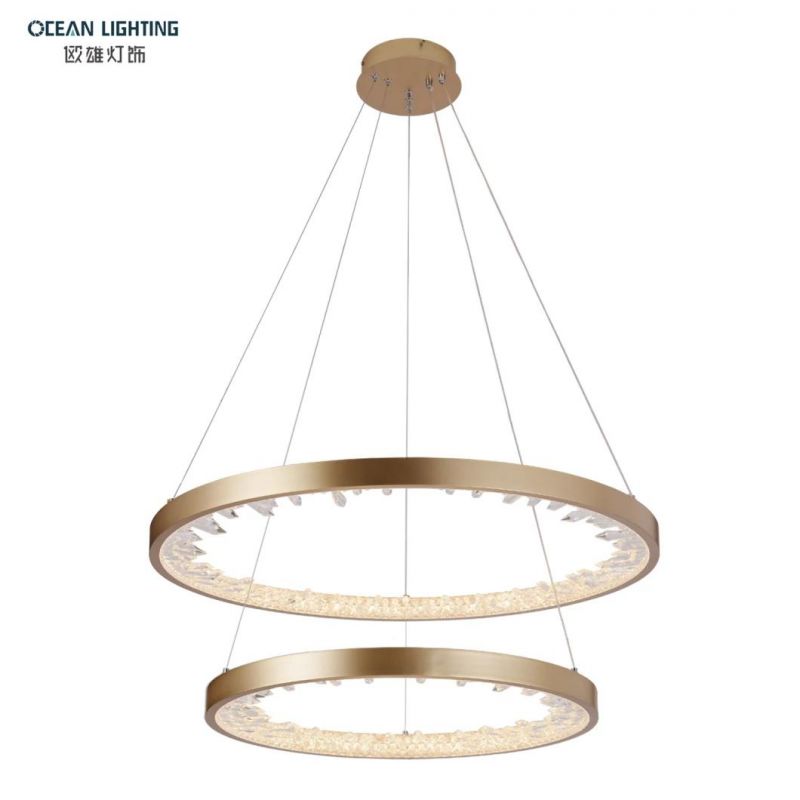 2022 Modern LED Ceiling Pendant Light for Island Om820102A-60+40 2 Ring