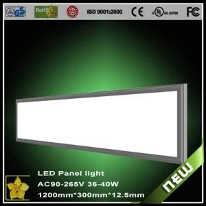 1200x300 LED Panel Light