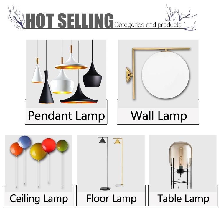 2019 New Design Adjustable Rolling Glass Pendant Lighting