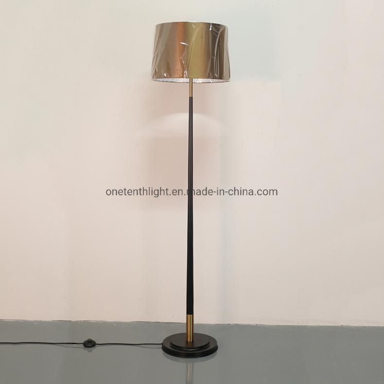 Metal Body in Black and Brass Finish Floor Lamp