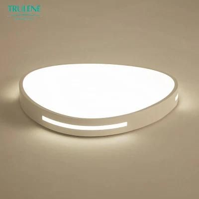 LED Modern Ceiling Light Simplism Type for Home Hotel Lamp