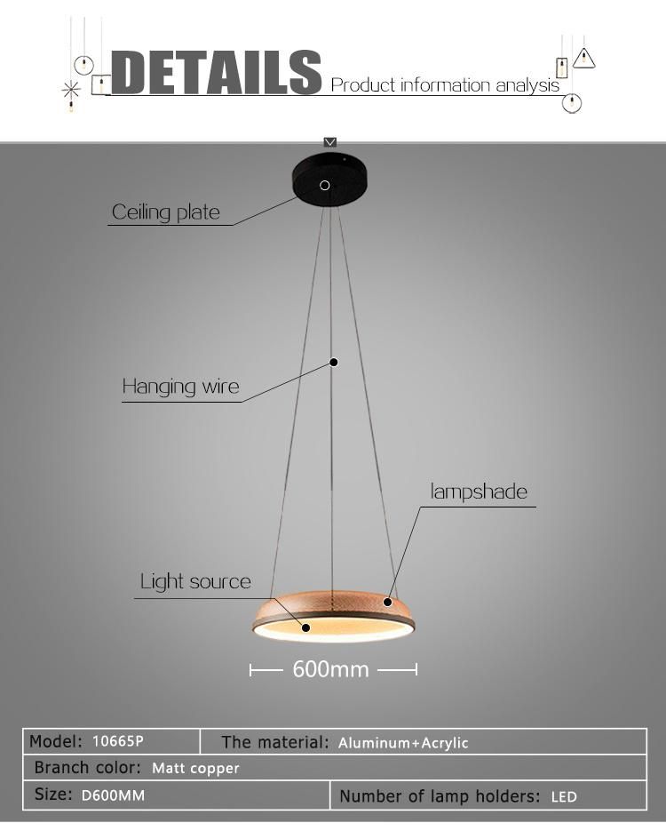 Newest 2020 LED Round Shade Interior Pendant Lamp Luminaires