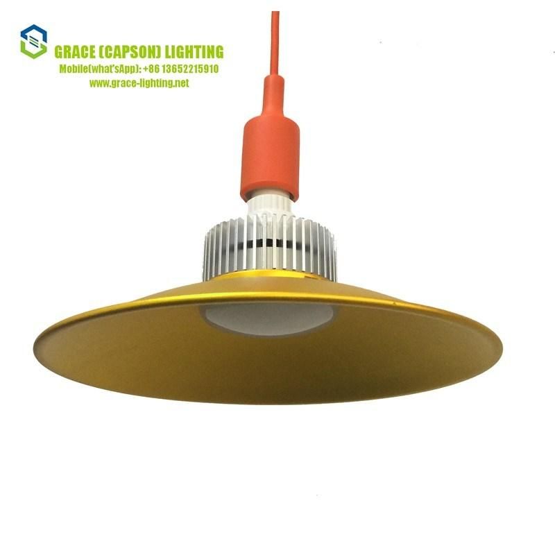 Decorative Supermarket LED 30W Pendant Lamp