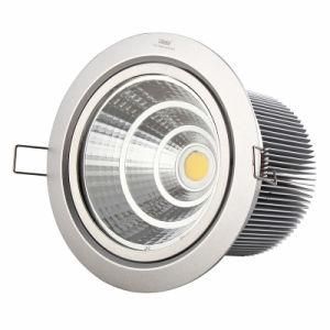 Super Power 15W COB LED Down Light