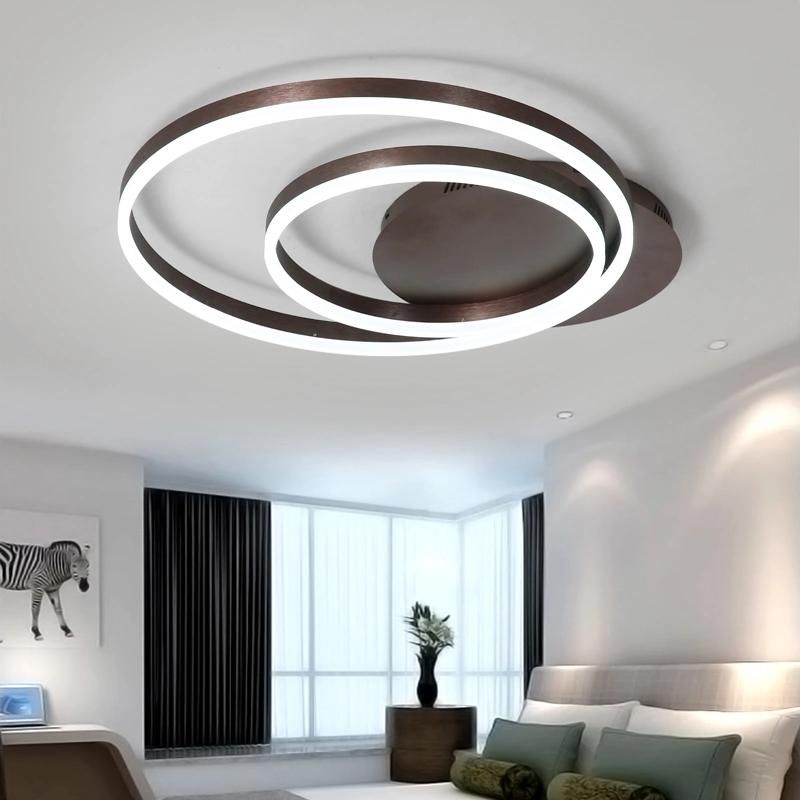 Ring Black Ceiling Lamps for Indoor Home Decorate Ceiling Lights (WH-MA-92)