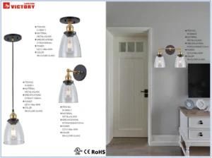 Modern Simple Drop Hanging Lamp with Ce UL for Hotel Restaurant