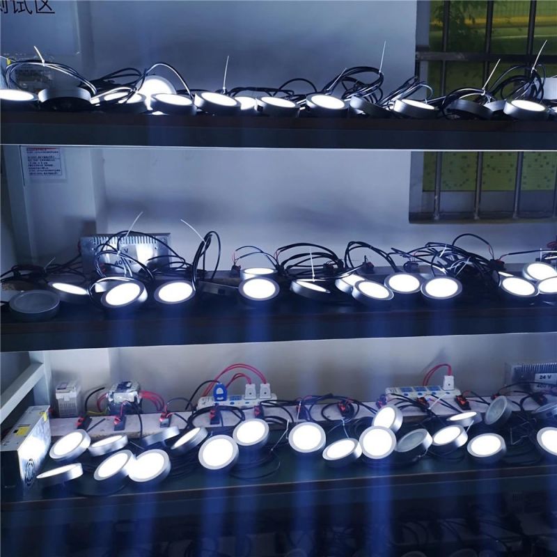 12 Volt LED Marine Interior Light White Blue LED Ceiling Light