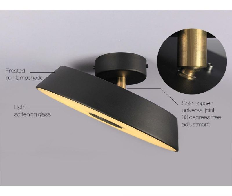 Nordic Ceiling Lights Daily Lighting Modern LED Ceiling Light Surface Mounted Ceiling Lamp (WH-MA-189)