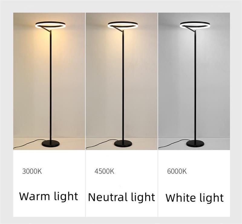 Luxury Modern Round Indoor Adjustable Light Color LED Floor Lamp