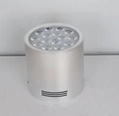 LED Open-Mounted Down Lamp Silver 3000K\6500K