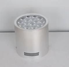 LED Open-Mounted Down Lamp Silver 3000K\6500K