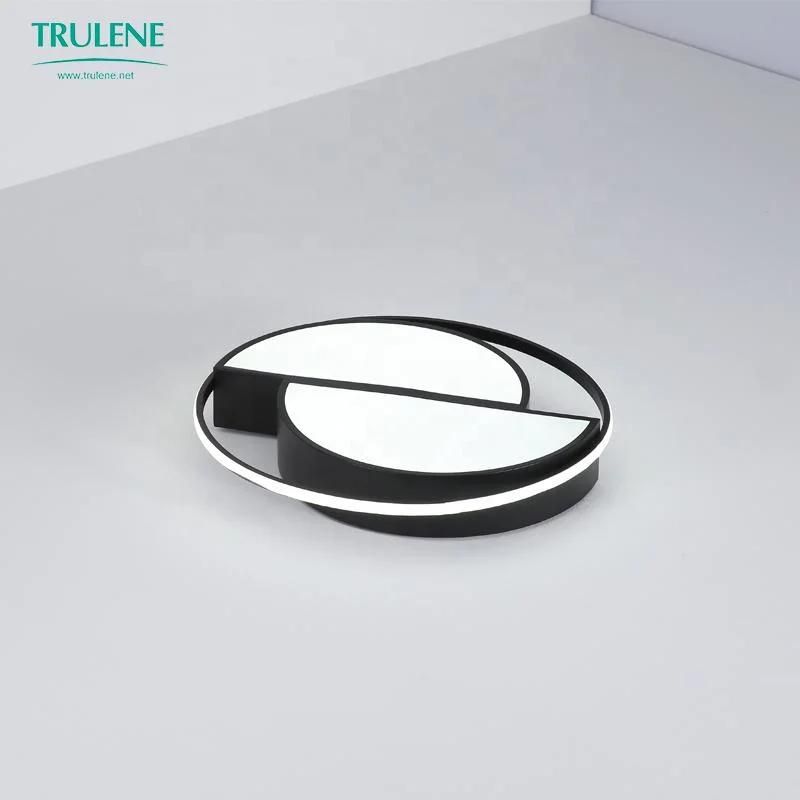 Hotel Ceiling Lamp LED Light Decorative Dimmable for Room