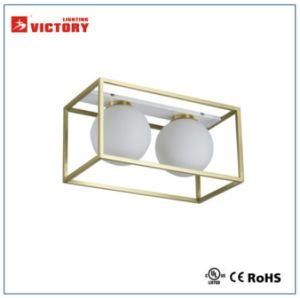New Design Modern Gold Brass Decorative Ceiling Lamp