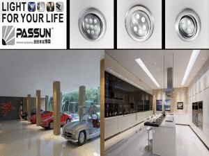 Indoor LED Downlight (LDC810B)