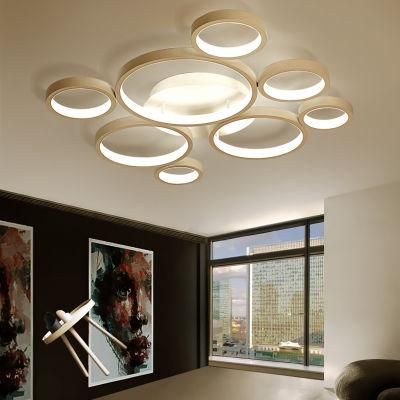Simple Modern Creative and Individual LED Ceiling Light Household Circle Living Room Lamp