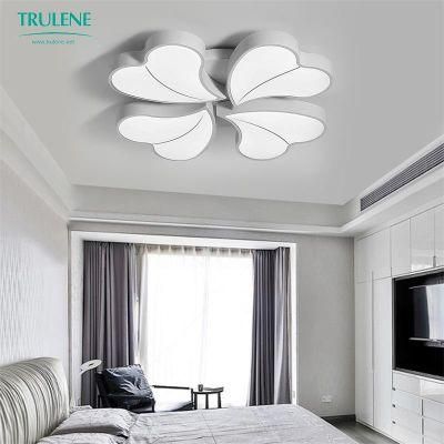 Nordic Ceiling Lamp Modern Easy Install LED Home Lighting