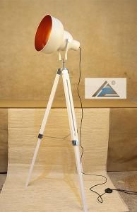 Decorative Tripod Floor Lamp (C5007371-3G)