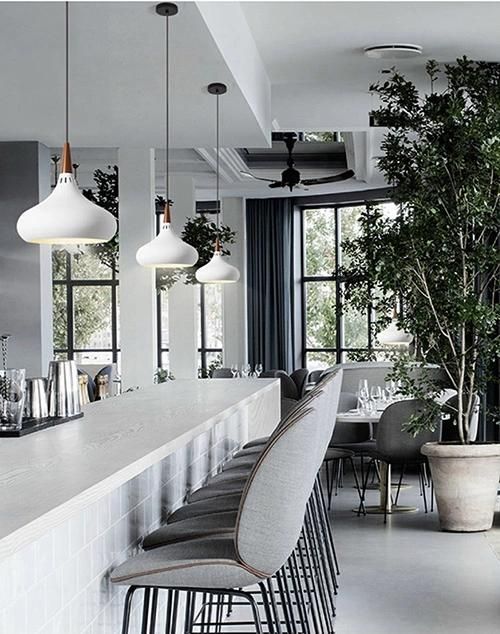 Italy Style Aluminium Pendant Lamp for Indoor Decoration