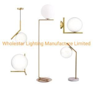 Modern Glass Table Lamp and Floor Lamp (WHF-770)