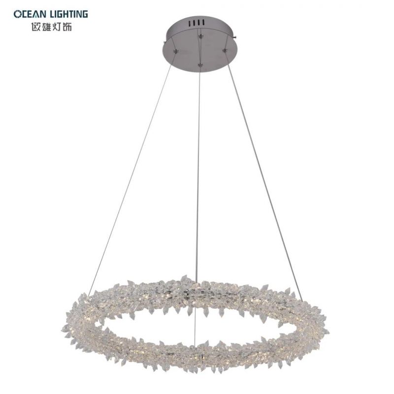 Pendant Lamp Chandelier Luxery Pendant Metal Lamp Omd8138/60 Dia60cm