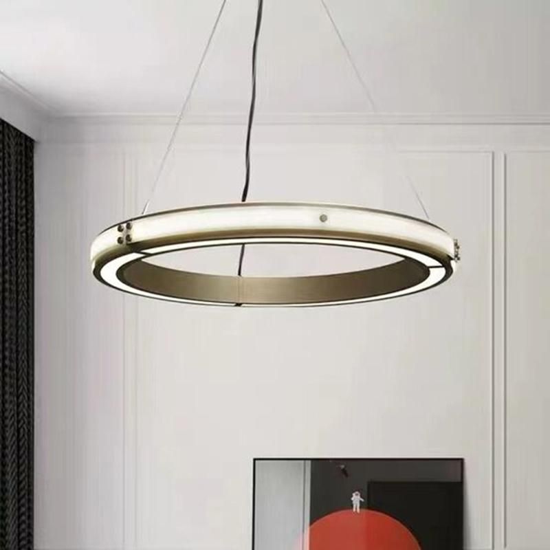 Circle Modern Style Simple Design Pendant Lamp Chandelier Living Room Lamp