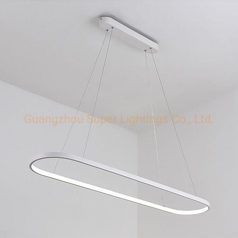 2022 Modern New Style Pendant LED Light for Home