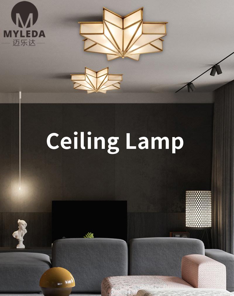 Mounted Lamp Lighting Star LED Ceiling Mount Light