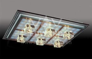 LED Ceiling Light (25051/6Y)