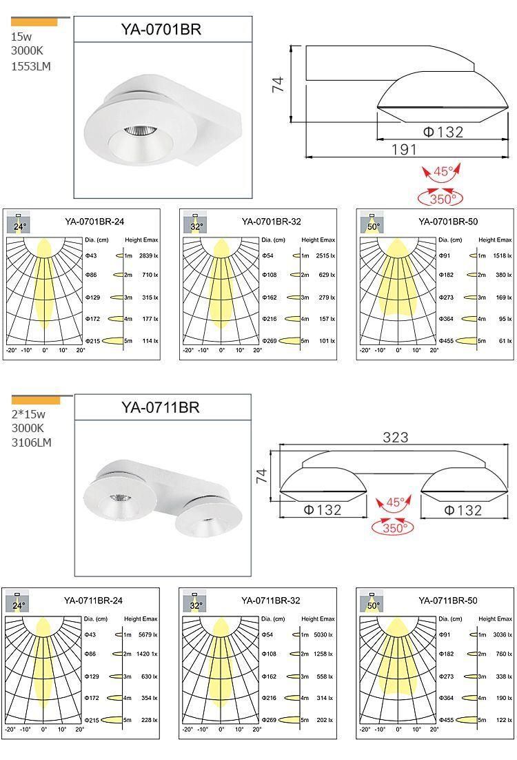 Adjustable 30W Surface Mounted Ceiling Light Ceiling Downlight COB LED Spotlight