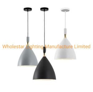 Metal Pendant Light (WHP-813)