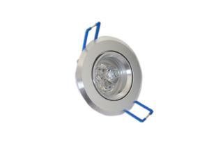 LED Ceiling Light (TH-0304)