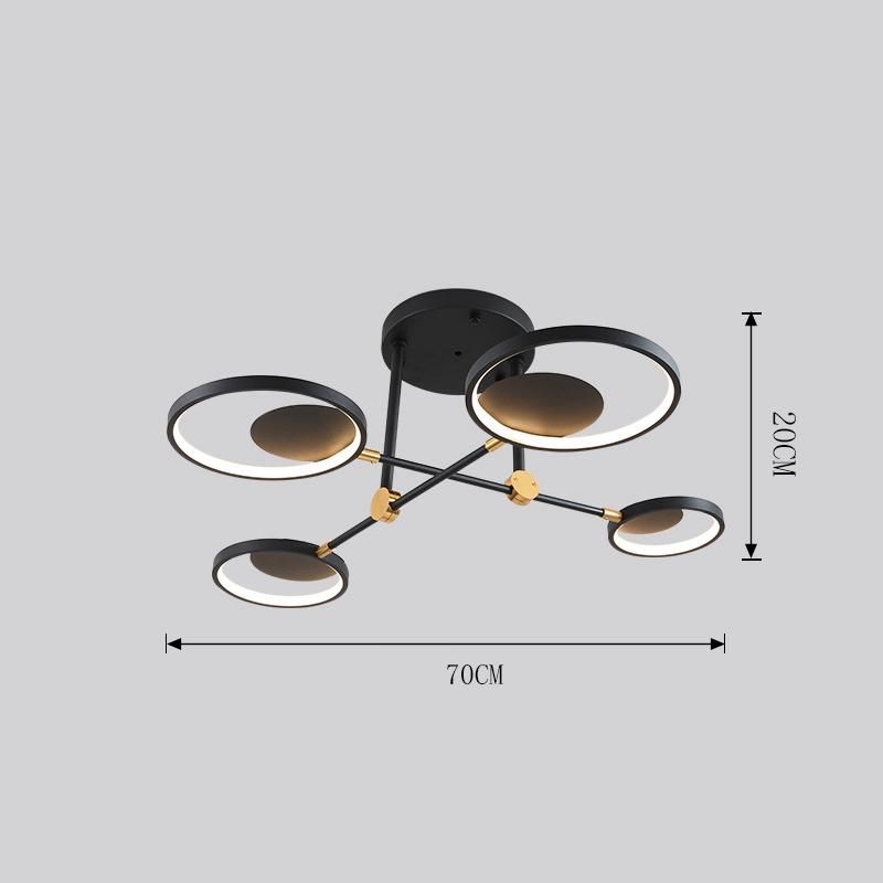 LED Decorative Pendant LED Lights by China Factory for Hotel /Shop