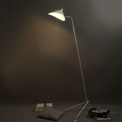 Tooth Dancing Claw Floor Lamp
