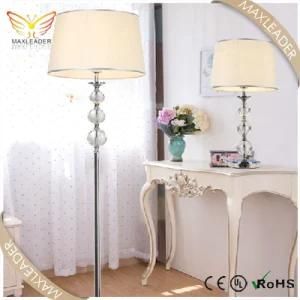 Living Room Decoration Design Modern Floor Lamp (ML5231)