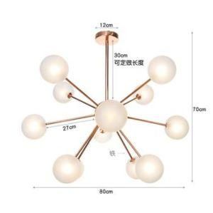 9-Light Art Frosted Ball Ceiling Lamp Indoor Globe Glass Lampshade Pendant Light for Home