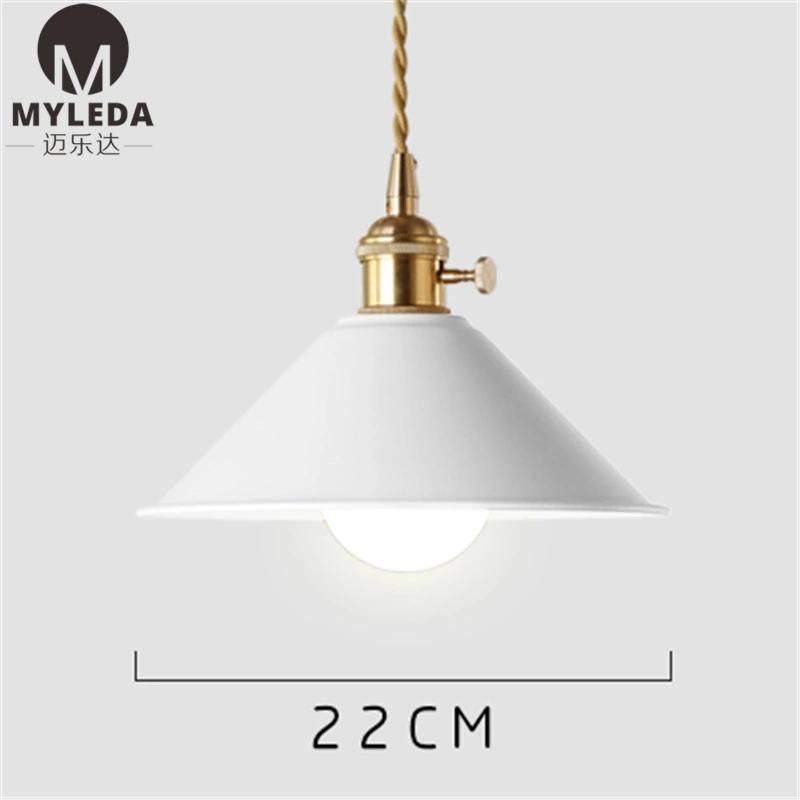 Colorful Metal Hanging Lighting Pendant Lamp for Hotel Restaurant, Dining Room, Club