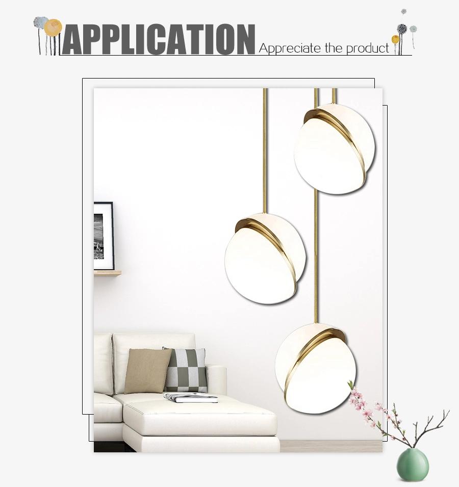 European Designer Acrylic Suspensive Pendant Lamps for Hotel Decorative Lighting