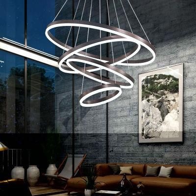 Decorative Hanging Pendant Lights for Living Room Bedroom Lighting Fixtures (WH-AP-08)