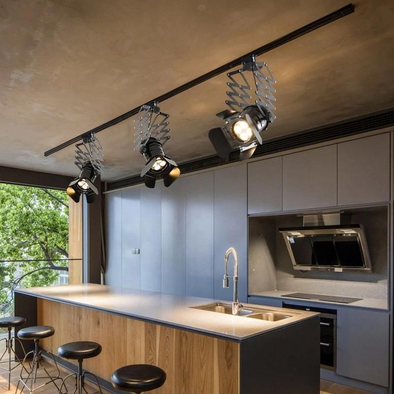 Antique Industrial Ceiling Lights for Indoor Home Kitchen Dining Room Lighting Fixtures (WH-LA-03)
