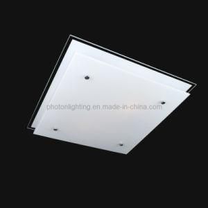 LED Ceiling Lamp / Ceiling Light (PT-LED 215/12W)
