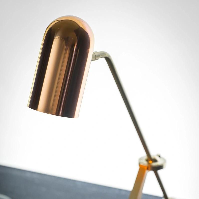 Modern Metal Brass Floor Lamp Living Room Bedroom Beside Gold Floor Lamp (WH-MFL-182)