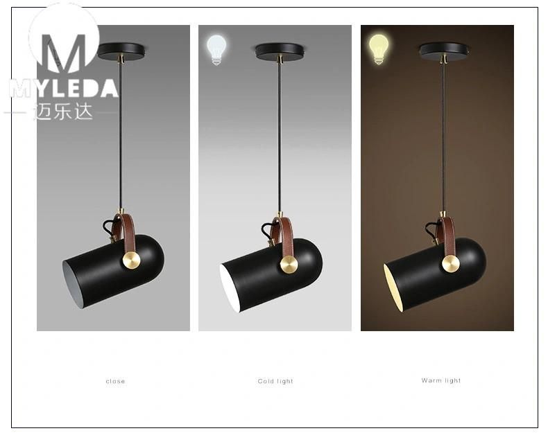 Simple Retro Iron Hanging LED Pendant Lamp