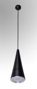 Black Ceiling Pendant LED Down Light (CR-DD2-12W-H)