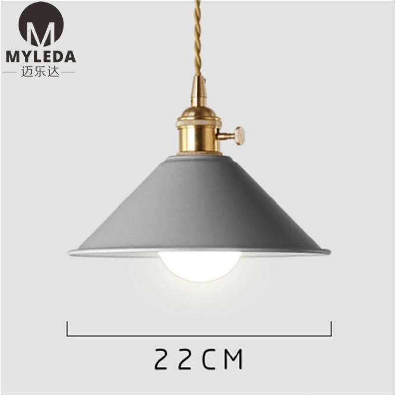 Colorful Metal Hanging Lighting Pendant Lamp for Hotel Restaurant, Dining Room, Club