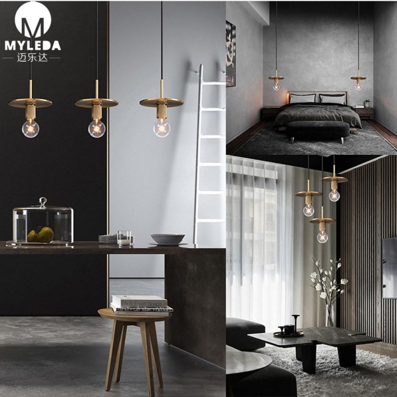 Modern Hotel Decorative LED Hanging Pendant Lighting